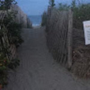 Meet your Posher, Toby